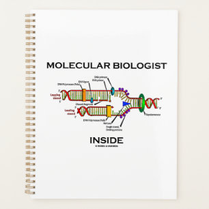 Agenda Replicação de DNA Dentro da Bióloga Molecular