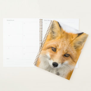 Agenda Retrato da Raposa Vermelha