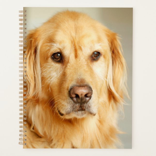 Agenda Retrato do ouro Retriever (Frente)