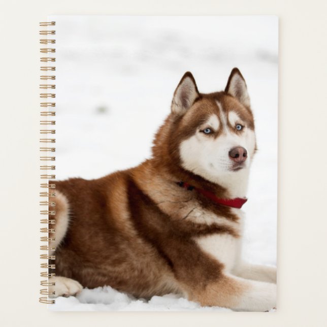 Agenda Retrato Husky Siberian Cute (Frente)