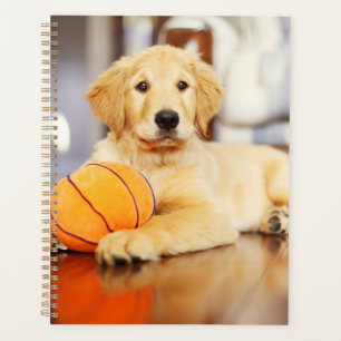 Agenda Retriever ouro Com Brinquedo De Basquete