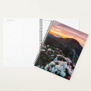 Agenda Rhododendron Blooming Parque Nacional Taroko