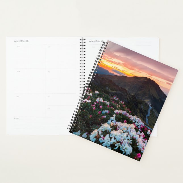 Agenda Rhododendron Blooming | Parque Nacional Taroko (Exibição)