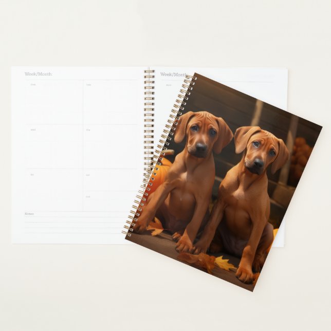 Agenda Ridgeback Ridgeback Puppy Autumn Delight Pumpkin (Exibição)
