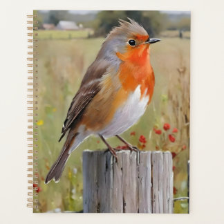 Agenda Robin Redbreast
