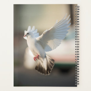 Agenda Rola Branca Pomba Simpática Símbolo de Amor & Paz