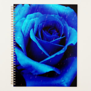 Agenda Rosa Azul Dramático
