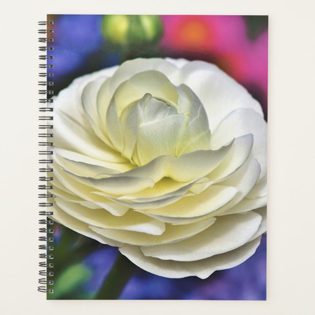 Agenda Rosa branca (Frente)