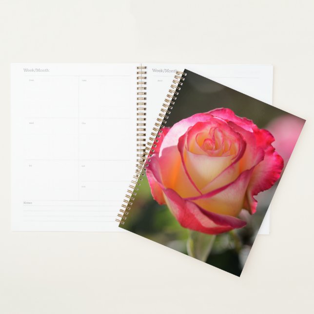 Agenda Rosa de dupla Delícia (Exibição)