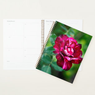 Agenda Rosa de Tigre Roxo