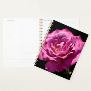 Agenda Rosa do Anjo para Cima- Fecho