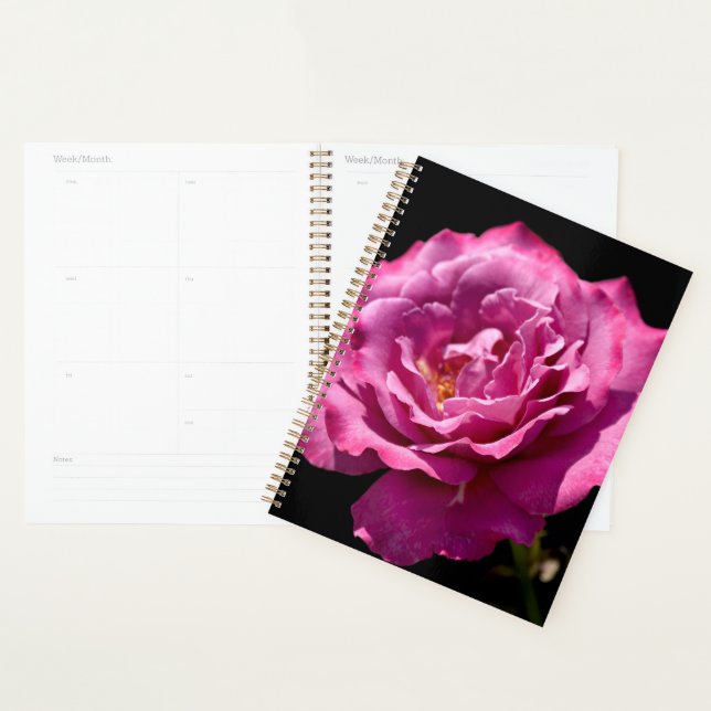 Agenda Rosa do Anjo para Cima- Fecho (Exibição)