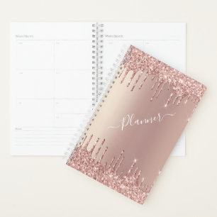 Agenda Rosa Dourado Brilho Brilhante Brilhante Drives Qui