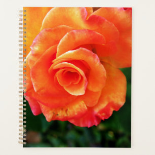 Agenda Rosa flor de laranja