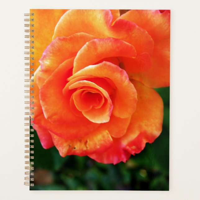 Agenda Rosa flor de laranja (Frente)