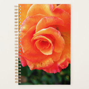 Agenda Rosa flor de laranja