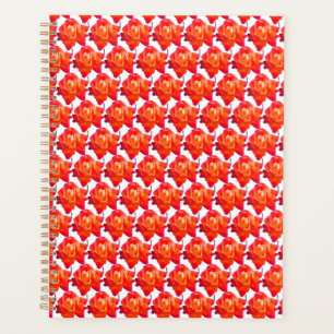 Agenda Rosa laranja
