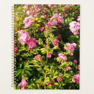 Agenda Rosário Flor