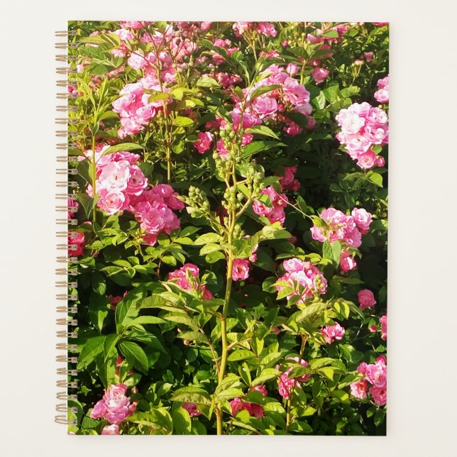 Agenda Rosário Flor (Frente)