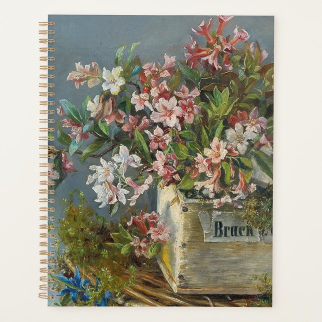 Agenda Rosas alpinos em uma janela - Andreas Lach (Frente)