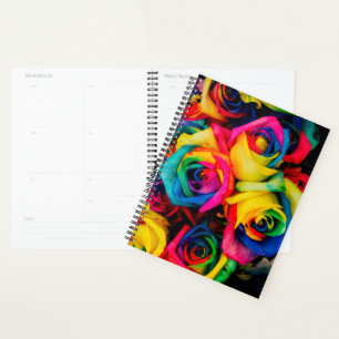 Agenda Rosas arco-íris