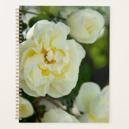 Agenda Rosas brancas fofas para positivo