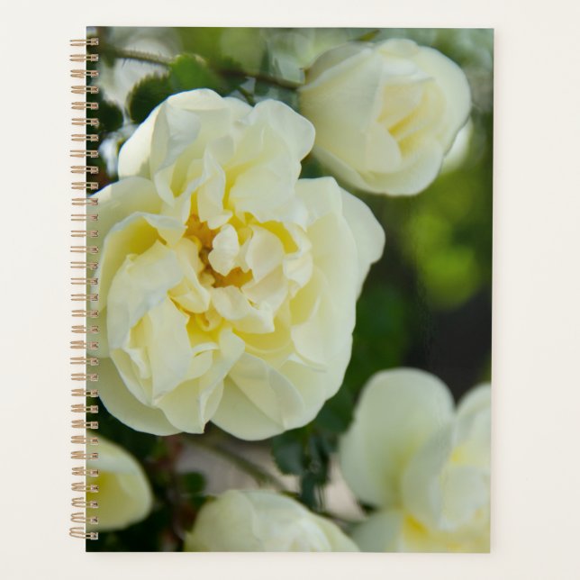 Agenda Rosas brancas fofas para positivo   (Frente)