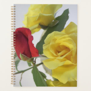 Agenda Rosas e LIly Planner
