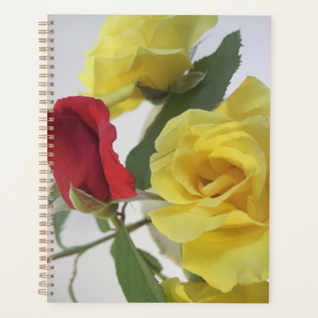 Agenda Rosas e LIly Planner (Frente)