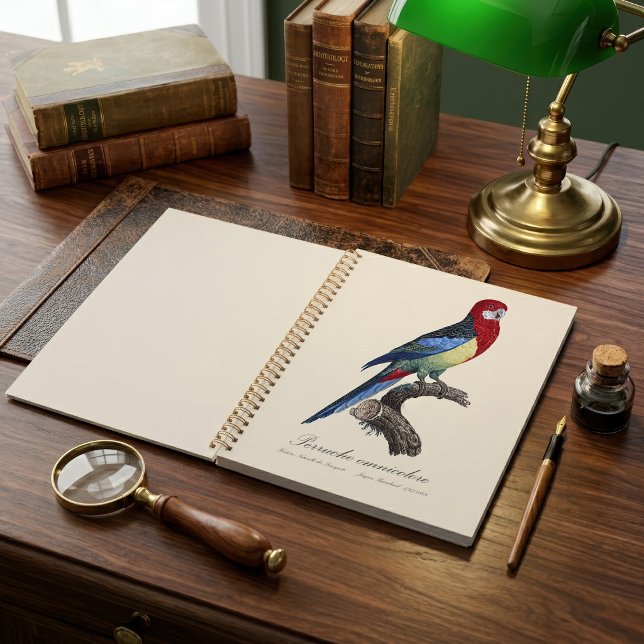 Agenda Rosela-oriental ou periquito Platycercus eximius (Eastern rosella or Platycercus eximius parakeet. Planner)
