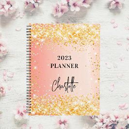Agenda Roteiro dourado rosa de laranja - glam 2023