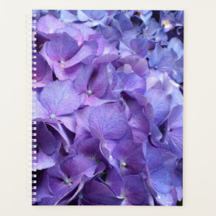 Agenda Roxo Hydrangea Floral