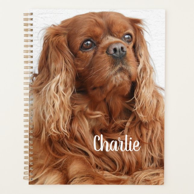 Agenda Ruby Cavalier King Charles Spaniel Dog (Frente)