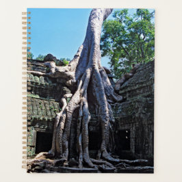 Agenda Ruína de Ta Prohm - Angkor Wat, Camboja, Ásia