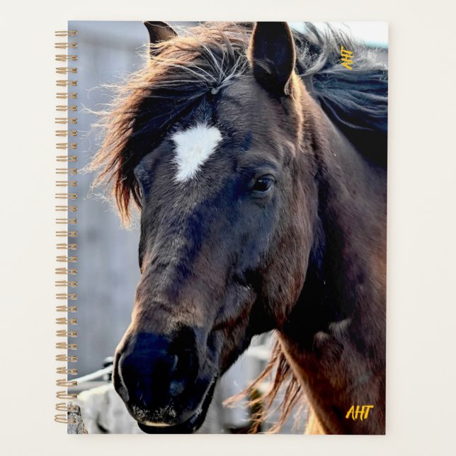 Agenda Salvamento em cavalos AHT (Frente)