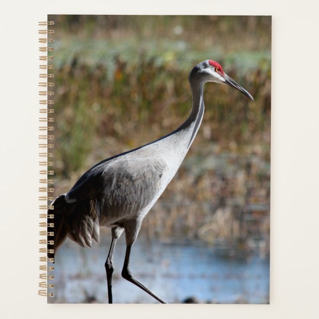 Agenda Sandhill Crane (Frente)