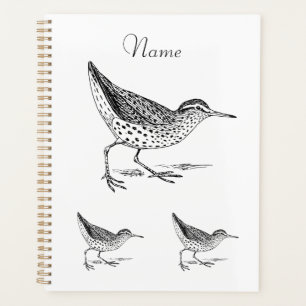 Agenda Sandpiper Shorebird Thunder_Cove