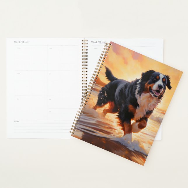 Agenda Sandy Paws Bernese Mountain Dog em Beach Sunset (Exibição)