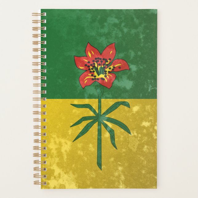 Agenda Saskatchewan (Frente)
