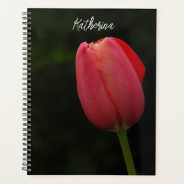 Agenda Script de Foto Tulip Rosa Elegante Personalizado