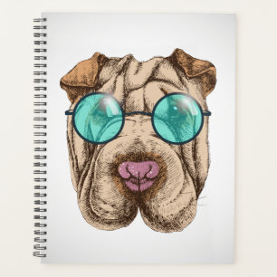 Agenda Sharpei Nos Óculos De Sol