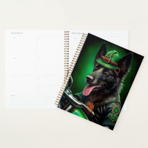 Agenda Shepherd belga dirigindo Ruas de bicicleta. Dia de