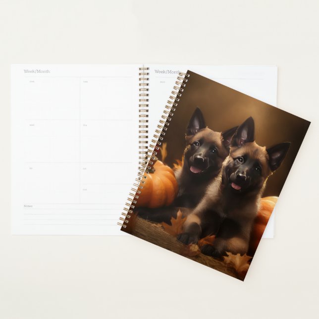 Agenda Shepherd Belga Puppy Autumn Delight Pumpkin (Exibição)