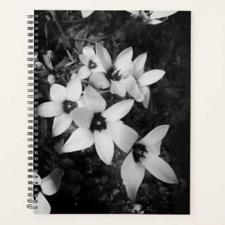 Agenda Silent Symmetry