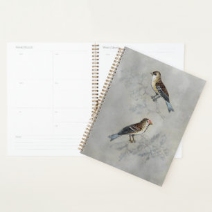 Agenda Silvered Aviary   Duas Aves