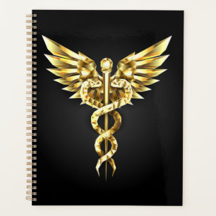 Agenda Símbolo Poligonal Dourado Caduceus