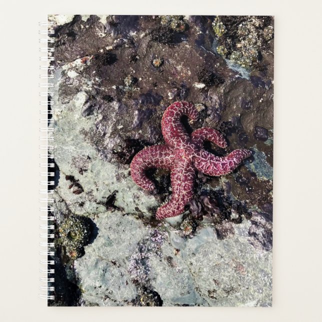 Agenda Sisters Rock State Park, Costa do Oregon (Frente)