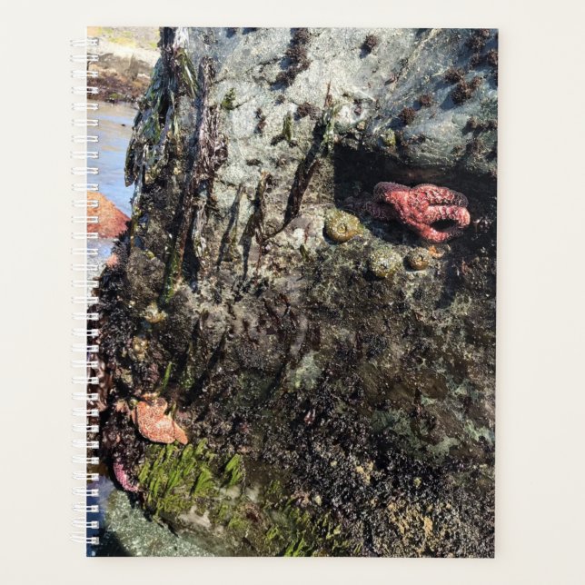 Agenda Sisters Rock State Park, Costa do Oregon (Frente)