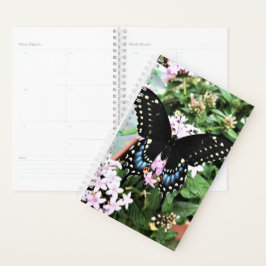Agenda Sm Planner Black Swallowtail