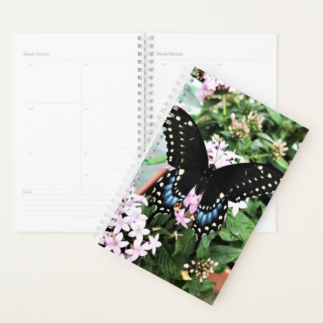 Agenda Sm Planner Black Swallowtail (Exibição)